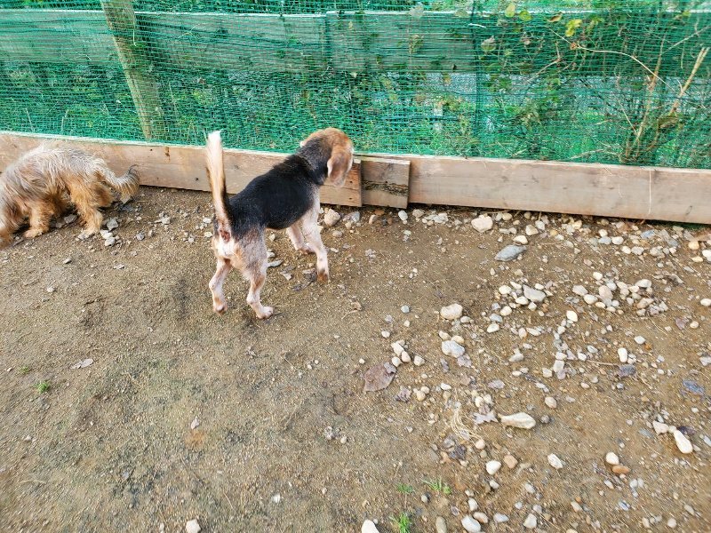 f:id:roukenhome-ann:20191118145047j:plain