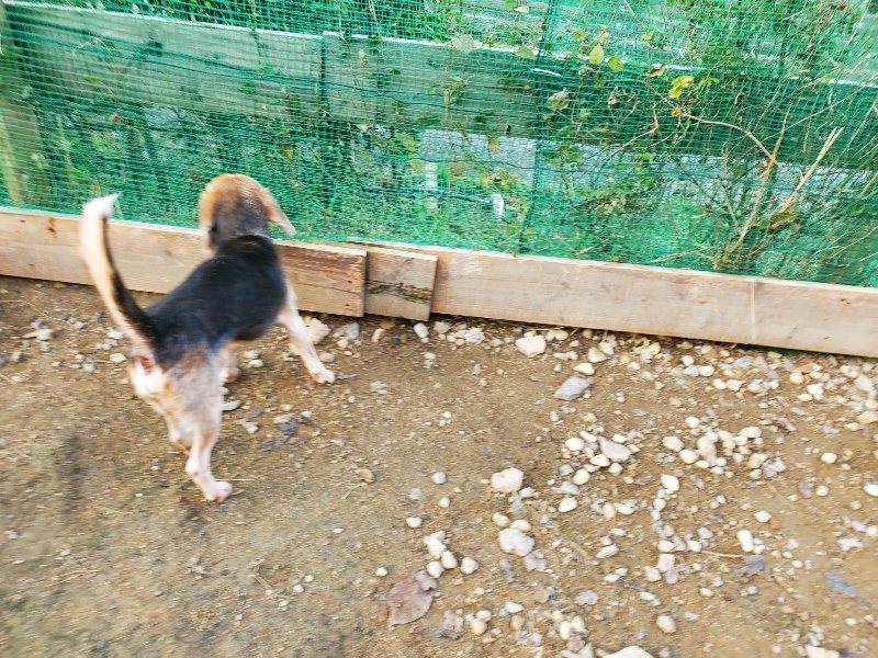f:id:roukenhome-ann:20191118145106j:plain