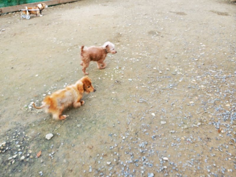 f:id:roukenhome-ann:20191118145115j:plain