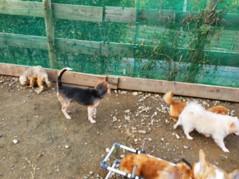 f:id:roukenhome-ann:20191118145130j:plain