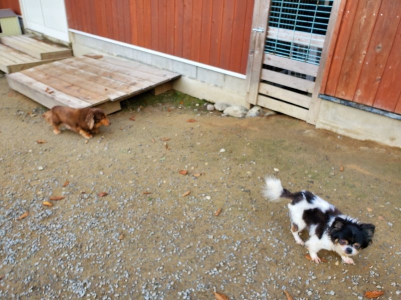 f:id:roukenhome-ann:20191118145147j:plain