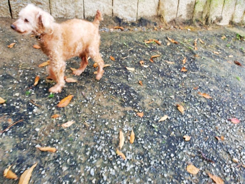 f:id:roukenhome-ann:20191118145213j:plain