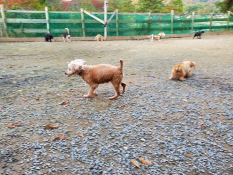 f:id:roukenhome-ann:20191118145235j:plain