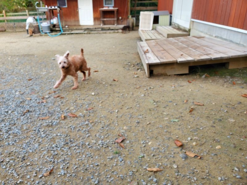 f:id:roukenhome-ann:20191118145303j:plain