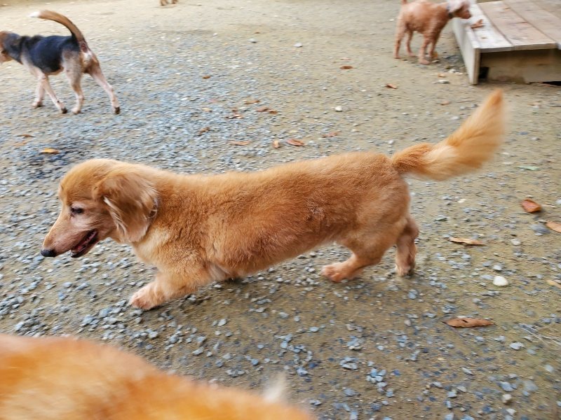 f:id:roukenhome-ann:20191118145344j:plain
