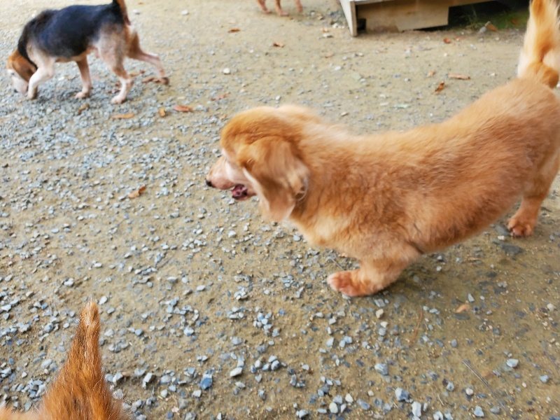 f:id:roukenhome-ann:20191118145401j:plain