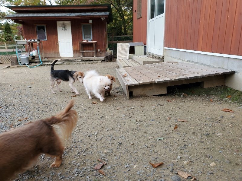 f:id:roukenhome-ann:20191118145427j:plain