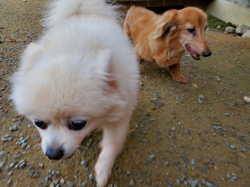 f:id:roukenhome-ann:20191118145437j:plain
