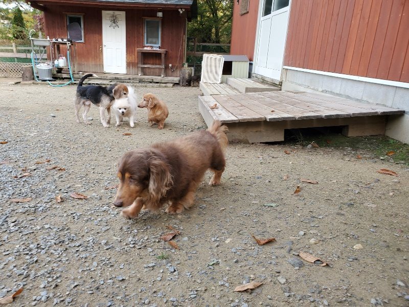 f:id:roukenhome-ann:20191118145451j:plain