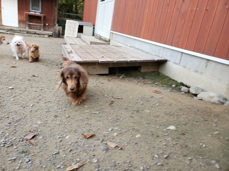 f:id:roukenhome-ann:20191118145503j:plain
