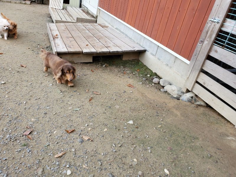 f:id:roukenhome-ann:20191118145523j:plain