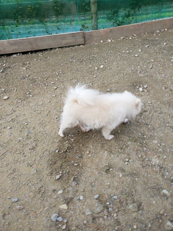 f:id:roukenhome-ann:20191118152629j:plain