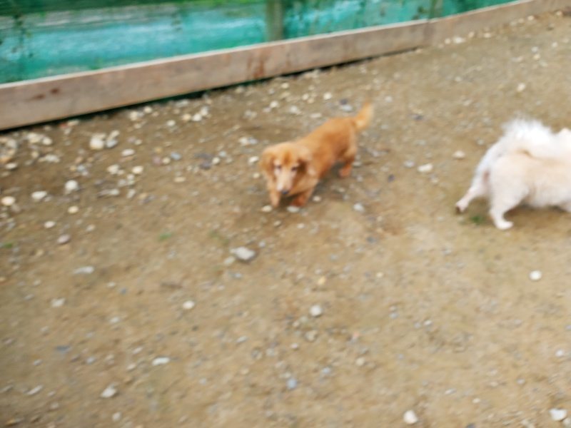 f:id:roukenhome-ann:20191118152636j:plain