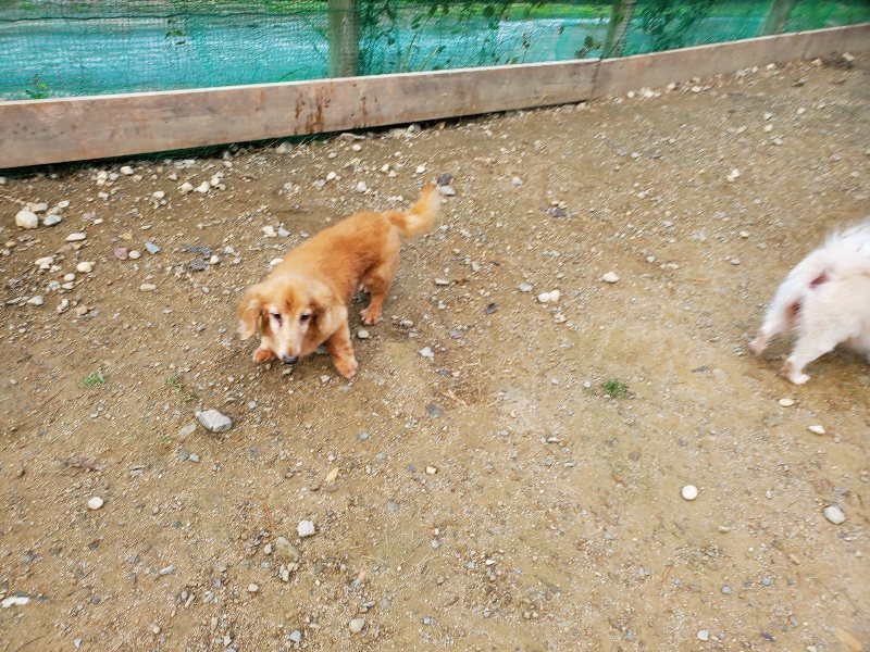 f:id:roukenhome-ann:20191118152641j:plain