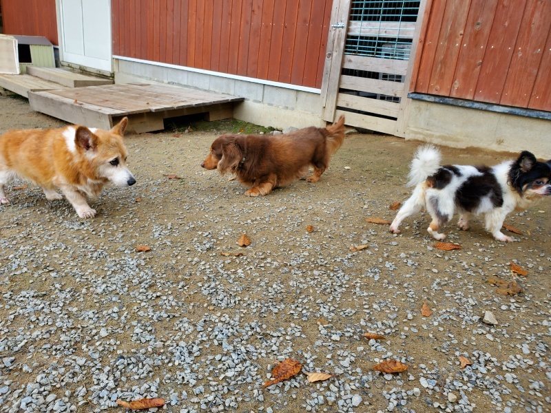 f:id:roukenhome-ann:20191118152703j:plain