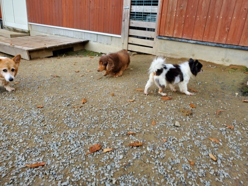 f:id:roukenhome-ann:20191118152710j:plain