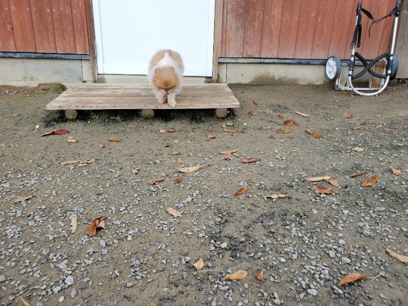 f:id:roukenhome-ann:20191118152819j:plain