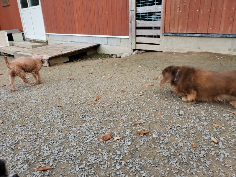 f:id:roukenhome-ann:20191118152828j:plain
