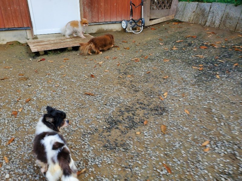 f:id:roukenhome-ann:20191118152917j:plain
