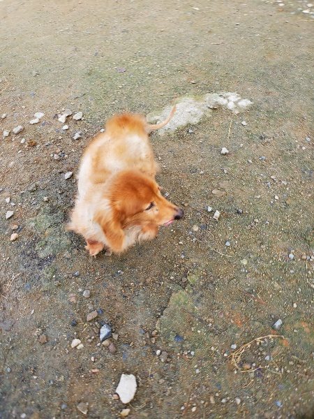 f:id:roukenhome-ann:20191118152924j:plain
