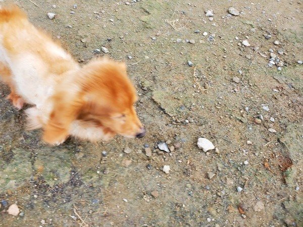 f:id:roukenhome-ann:20191118152929j:plain