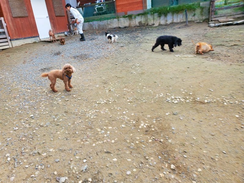 f:id:roukenhome-ann:20191118153020j:plain