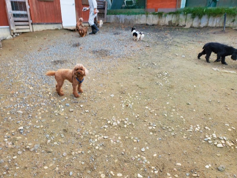 f:id:roukenhome-ann:20191118153027j:plain