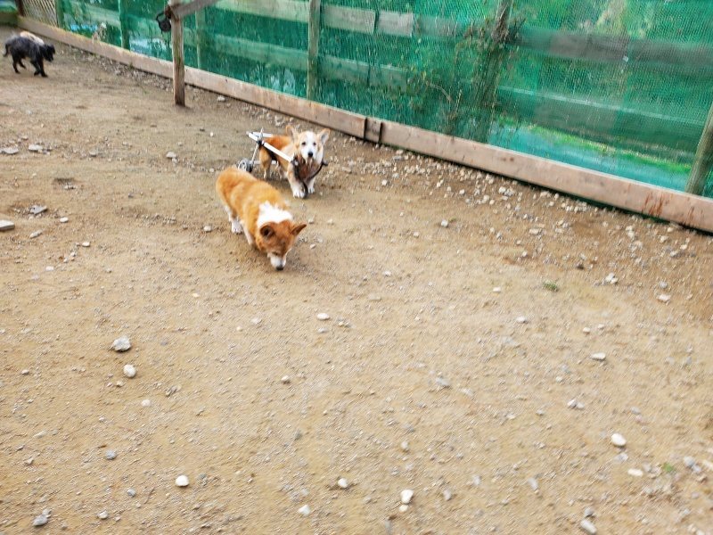 f:id:roukenhome-ann:20191118153034j:plain