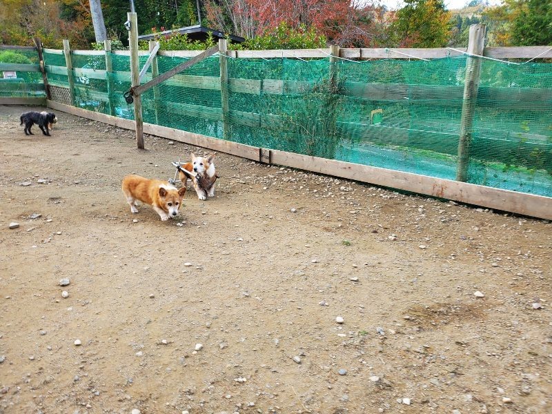 f:id:roukenhome-ann:20191118153049j:plain