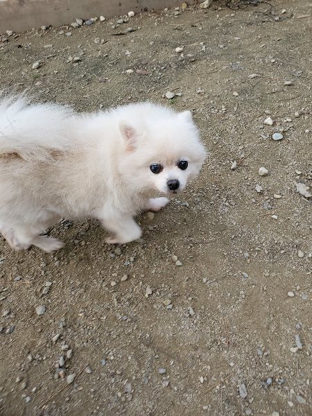 f:id:roukenhome-ann:20191118153144j:plain