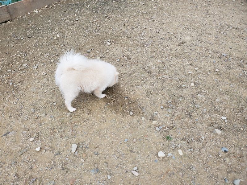 f:id:roukenhome-ann:20191118153152j:plain