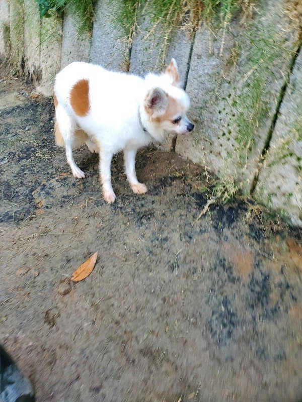f:id:roukenhome-ann:20191118153551j:plain