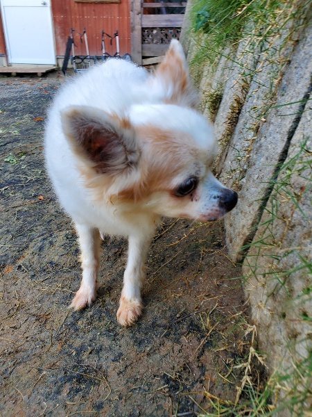 f:id:roukenhome-ann:20191118153557j:plain
