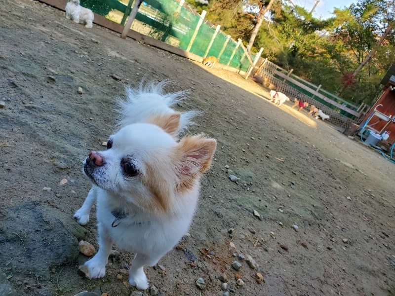 f:id:roukenhome-ann:20191118153602j:plain
