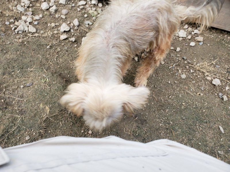 f:id:roukenhome-ann:20191118153652j:plain