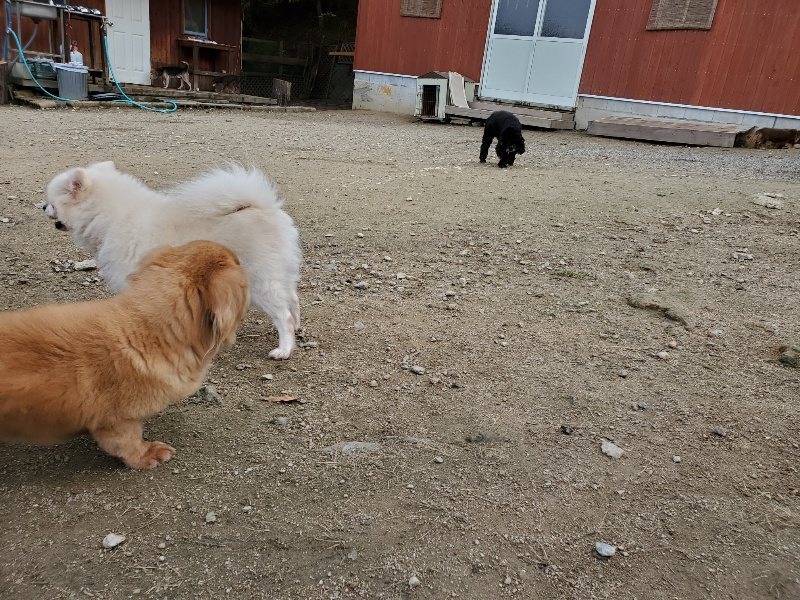 f:id:roukenhome-ann:20191118153710j:plain