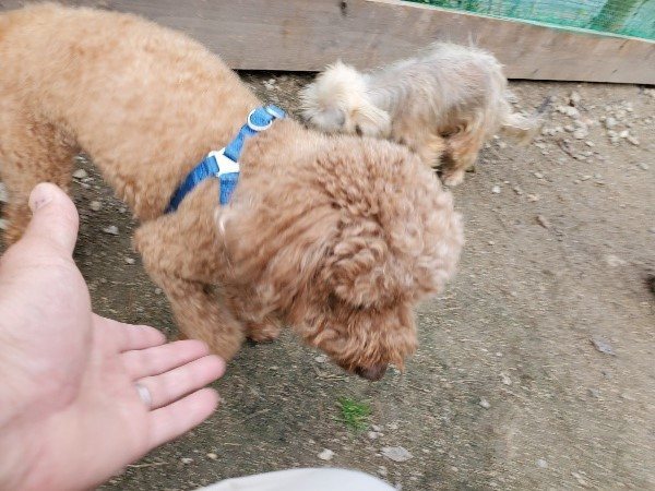 f:id:roukenhome-ann:20191118153739j:plain