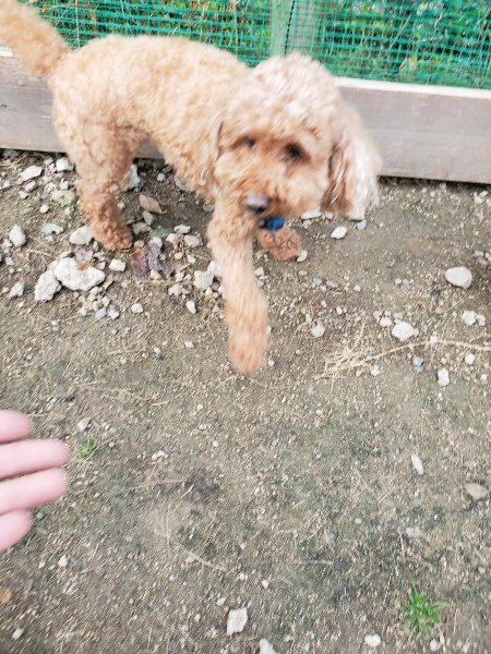 f:id:roukenhome-ann:20191118153749j:plain