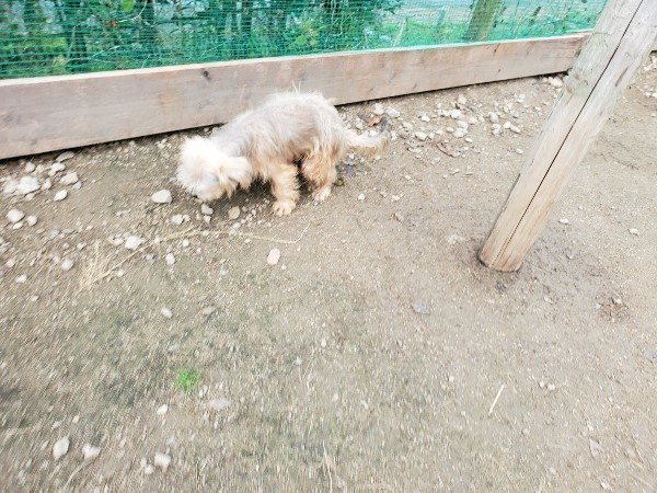 f:id:roukenhome-ann:20191118153810j:plain