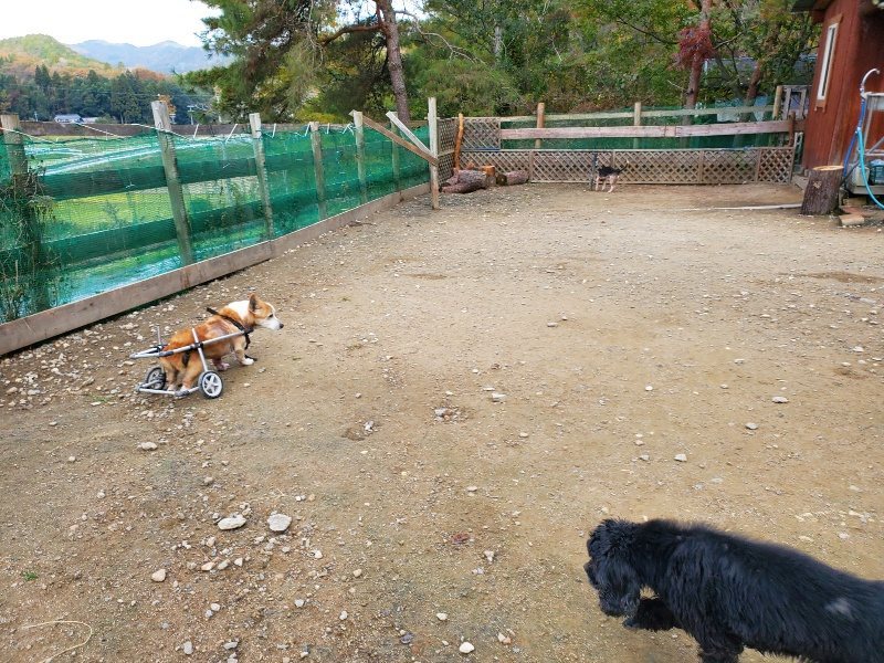 f:id:roukenhome-ann:20191118153902j:plain