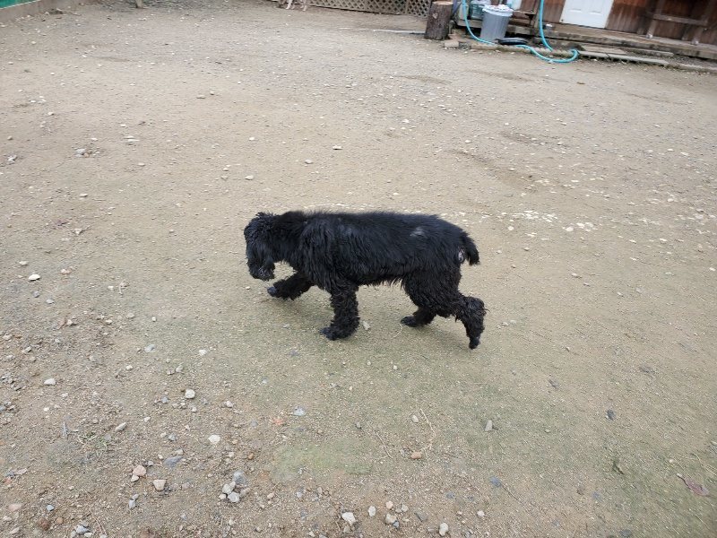 f:id:roukenhome-ann:20191118153908j:plain