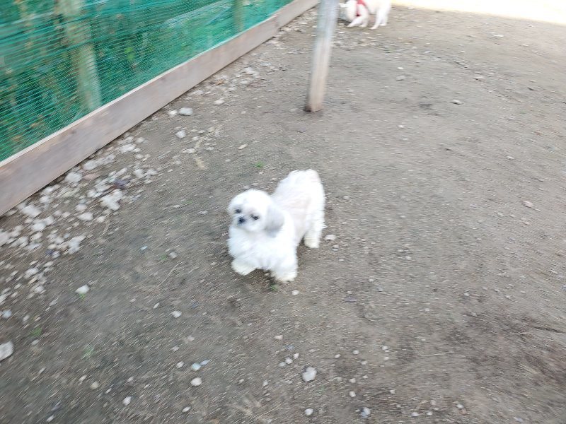 f:id:roukenhome-ann:20191118153912j:plain