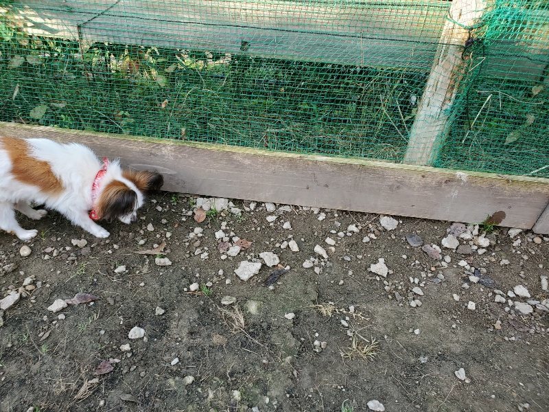 f:id:roukenhome-ann:20191118153924j:plain