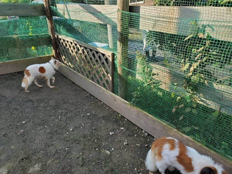 f:id:roukenhome-ann:20191118153930j:plain
