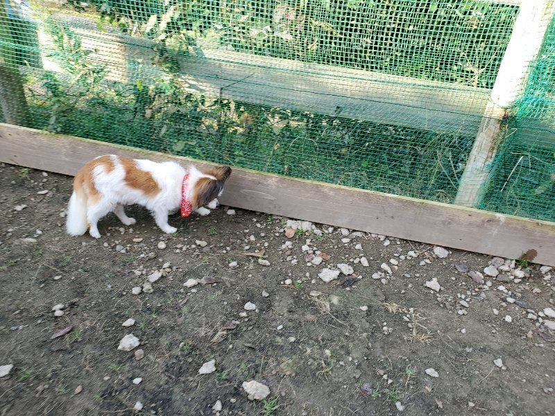 f:id:roukenhome-ann:20191118153937j:plain