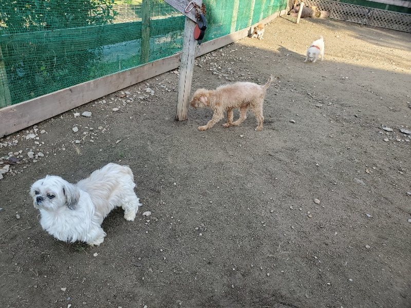f:id:roukenhome-ann:20191118153944j:plain