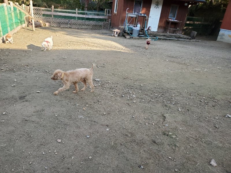 f:id:roukenhome-ann:20191118153952j:plain