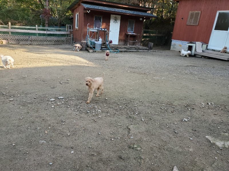 f:id:roukenhome-ann:20191118154002j:plain