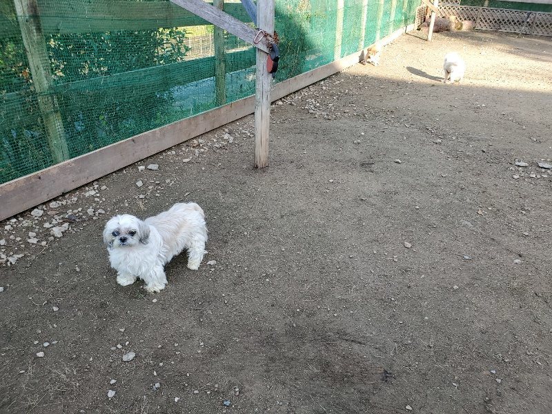 f:id:roukenhome-ann:20191118154008j:plain