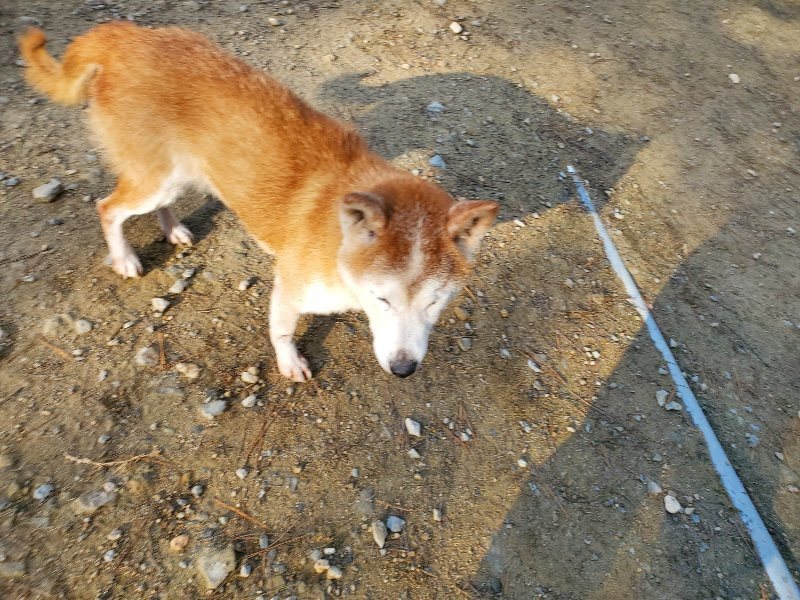 f:id:roukenhome-ann:20191118154206j:plain